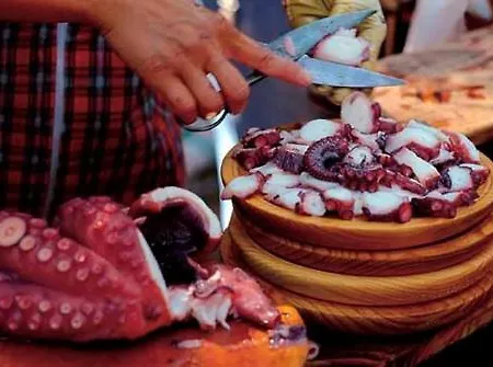 Cancun Barbadas-ourense